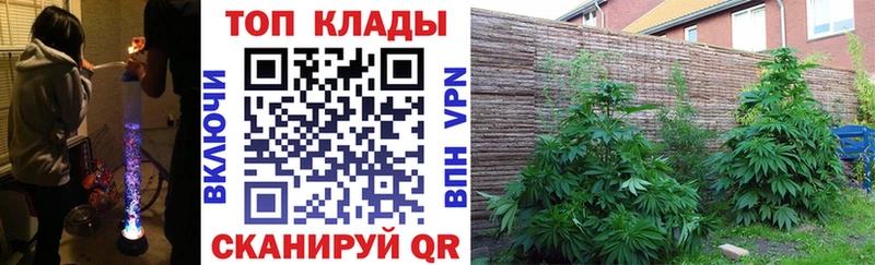 Купить Амфетамин  A PVP  ГАШ  Галлюциногенные грибы  Каннабис  МЕФ  Гулькевичи