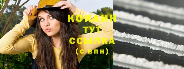 гидропоника Кодинск