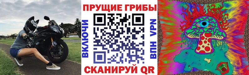 Купить  Гулькевичи  Псилоцибиновые грибы ЛСД 